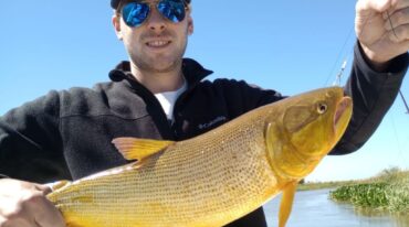 Un dorado (cuya devolución es obligatoria) capturado en la semana en jurisdicción de San Javier. Gentileza.