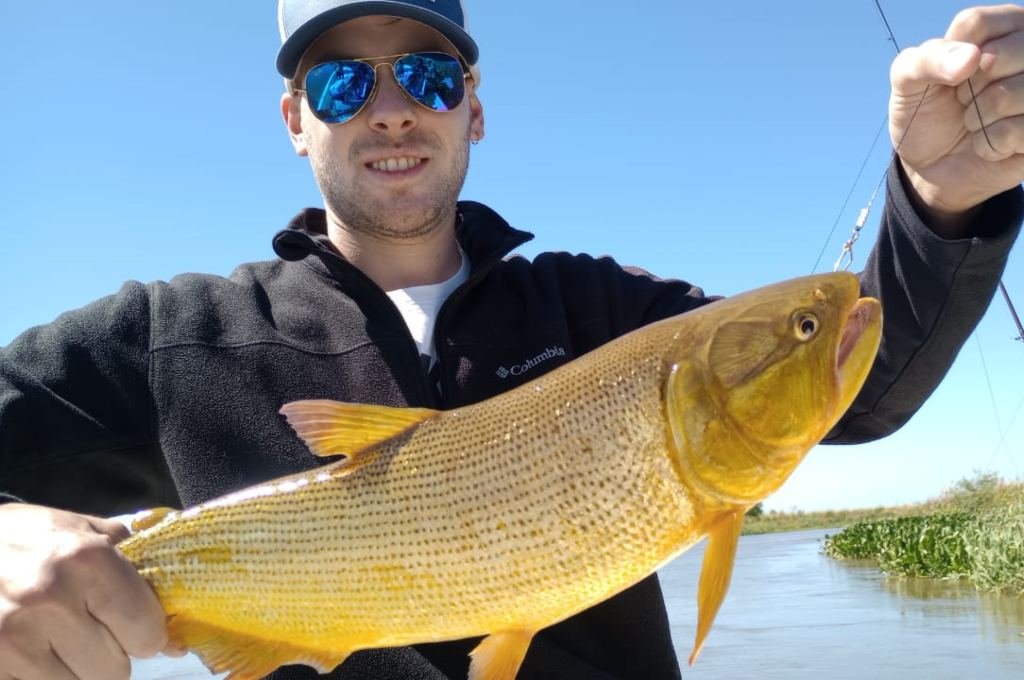 Un dorado (cuya devolución es obligatoria) capturado en la semana en jurisdicción de San Javier. Gentileza.