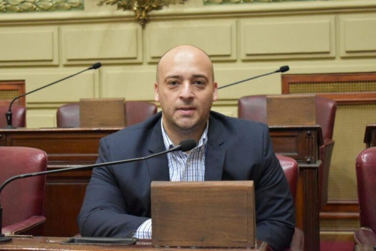 La iniciativa es del diputado Basile. Archivo.