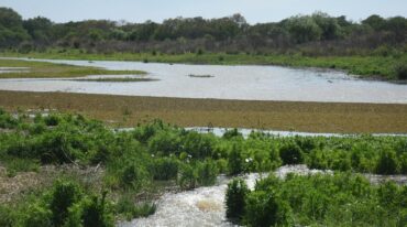 Las lagunas y bañados se conectaron al río. 'Hoy tienen toda una estación favorable por delante de temperaturas altas