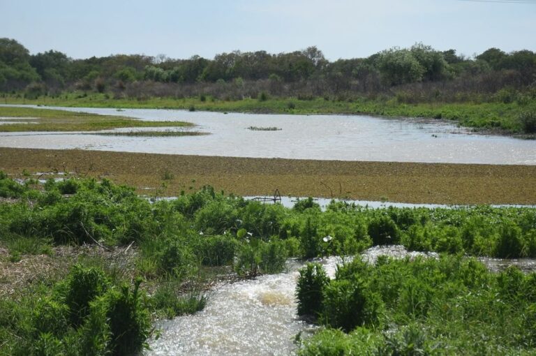 Las lagunas y bañados se conectaron al río. 'Hoy tienen toda una estación favorable por delante de temperaturas altas