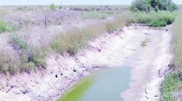 El agua escasea y la que hay es de mala calidad