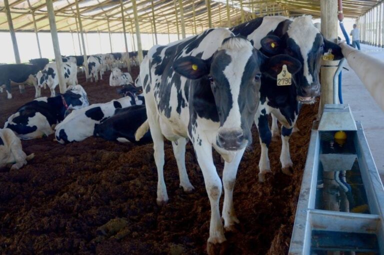 Gentileza: prensa Gobierno de Santa Fe.