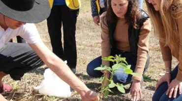El Ingeniero añadió que Un Árbol Más también presentó un proyecto en el marco del programa 'Regenera América' lanzado por Mercado Libre. Gentileza
