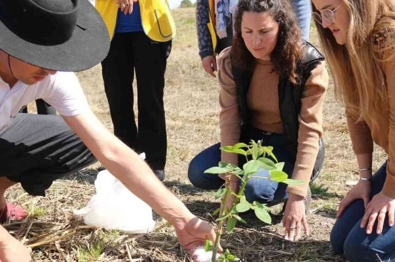 El Ingeniero añadió que Un Árbol Más también presentó un proyecto en el marco del programa 'Regenera América' lanzado por Mercado Libre. Gentileza