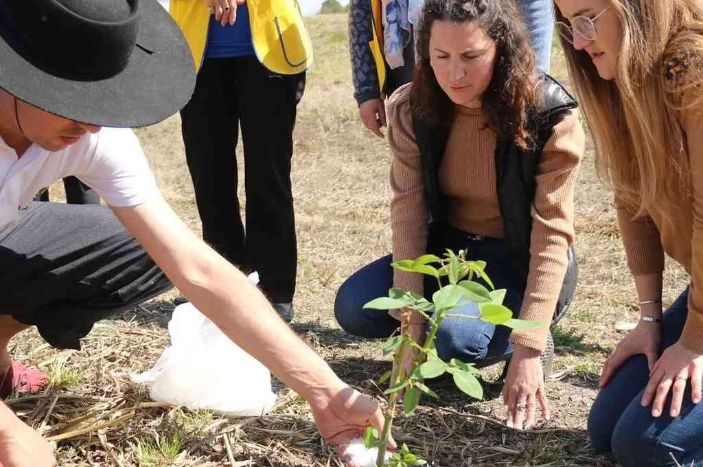 El Ingeniero añadió que Un Árbol Más también presentó un proyecto en el marco del programa 'Regenera América' lanzado por Mercado Libre. Gentileza