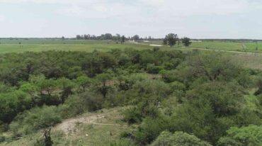 'Una de las ideas es generar áreas de reserva que le permita al vecino ver el bosque en su estadío natural. Crear una reserva natural de uso urbano