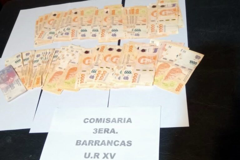 El dinero recuperado por el personal policial. gentileza