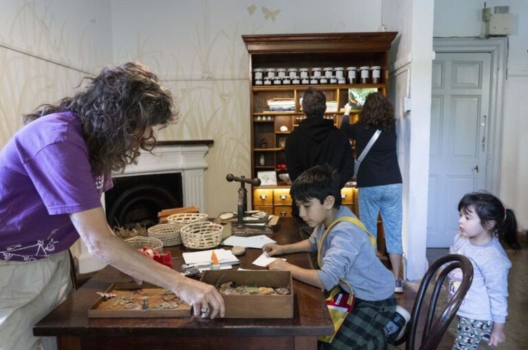 Estas actividades para disfrutar en la temporada estival tienen el objetivo de ofrecerles a las familias e infancias la posibilidad de recorrer
