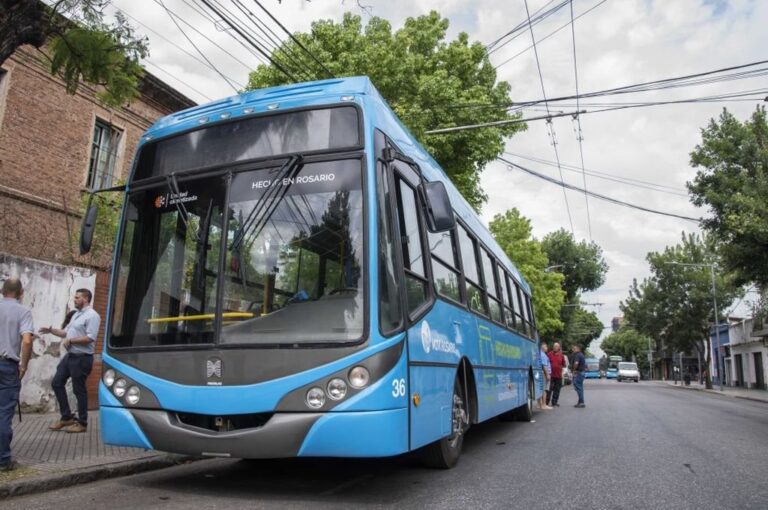 Entre las nuevas características del coche 36 se destaca la incorporación de piso bajo garantizando la accesibilidad