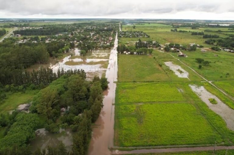 La zona rural de Avellaneda Oeste es una de las más afectadas. Aquí