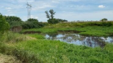 Es parte del ciclo de los humedales y responder a los periodos de sequía o abundantes precipitaciones. Son ecosistemas muy cambiantes y dinámicos. Así como su fisonomía y flora también cambia su fauna. Mirador