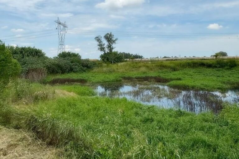 Es parte del ciclo de los humedales y responder a los periodos de sequía o abundantes precipitaciones. Son ecosistemas muy cambiantes y dinámicos. Así como su fisonomía y flora también cambia su fauna. Mirador