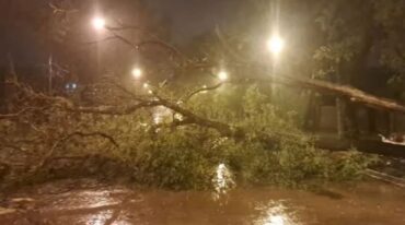 Diez minutos más tarde los servidores públicos debieron intervenir en Lussenhoff y Junín. 'Se trataba de un árbol caído sobre una vivienda. Se procedió a evaluar los riesgos y se recomendó a los habitantes que se auto evacuen'