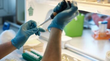 El meningococo es una bacteria que puede producir distintas enfermedades
