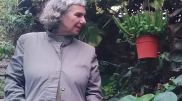 La escritora Laura Rossi escribe en la contratapa: 'en cada episodio en el que