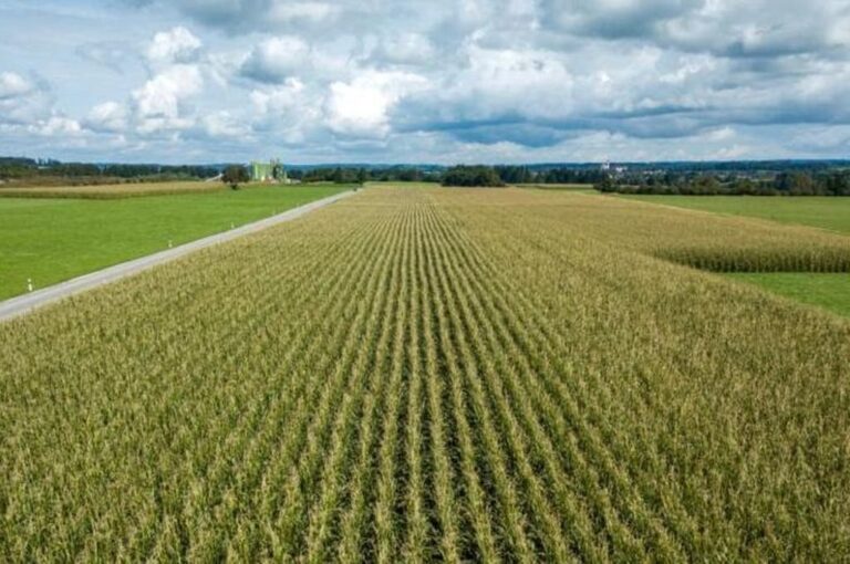 Los datos más recientes muestran una evolución en la probabilidad de este evento