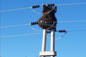 El 26 de febrero pasado