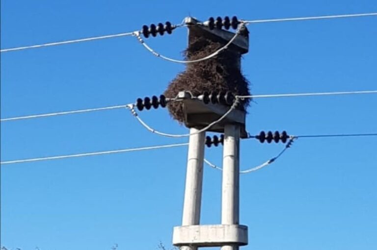 El 26 de febrero pasado