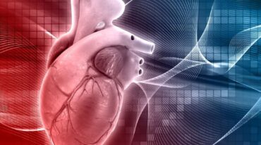 El estudio abre puertas para nuevas líneas de investigación a genetistas e investigadores dedicados a la cardiología. Gentileza