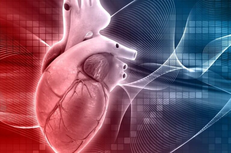 El estudio abre puertas para nuevas líneas de investigación a genetistas e investigadores dedicados a la cardiología. Gentileza