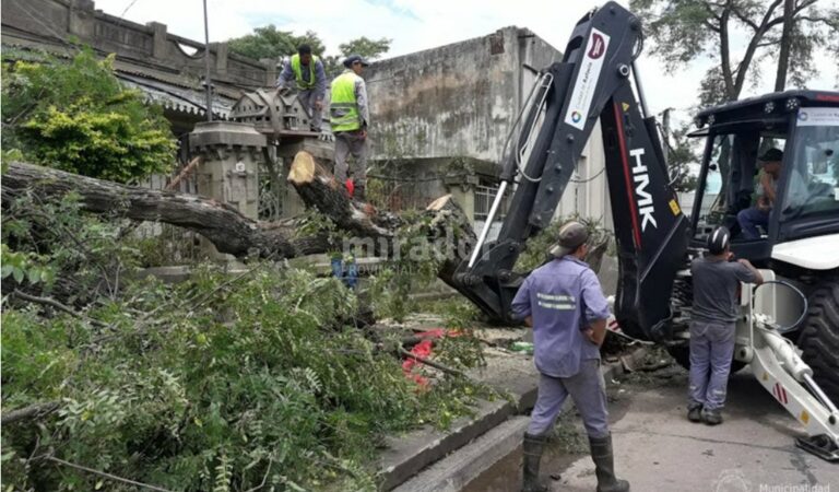 Personal de la Municipalidad de Rafaela pudo rescatar a la pequeña construcción. Gentileza: Municipalidad de Rafaela.