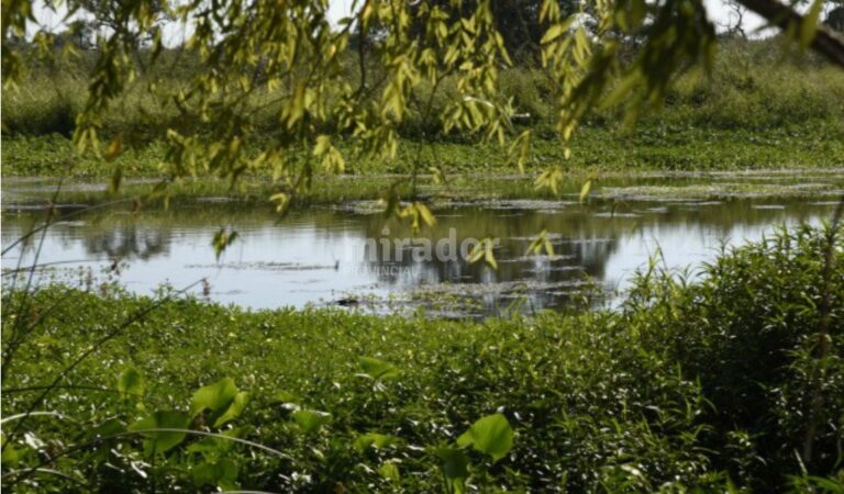 El Estado municipal de Rosario cuenta con más de 1.700 hectáreas en las islas frente a esa ciudad. Gentileza: Municipalidad de Rosario.