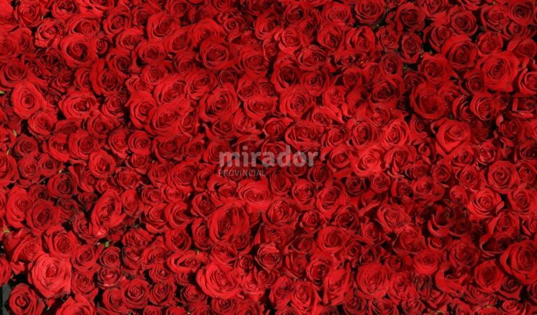 La crisis económica repercutió este año en los enamorados