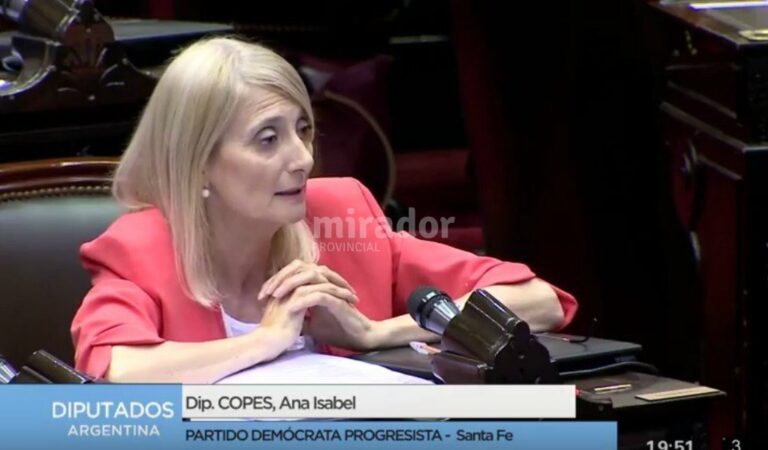 La diputada reclamó por un sector muy castigado por las precipitaciones de los últimos dos años. Archivo.