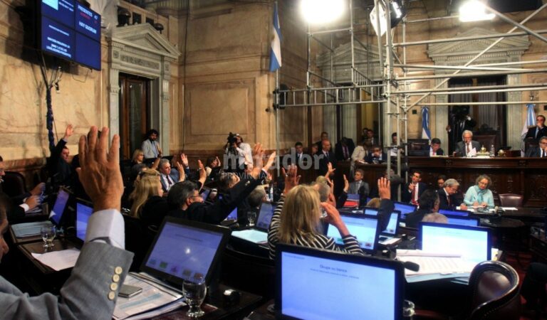 La votación fue por el sí. Legisladores nacionales convirtieron en ley. DyN.