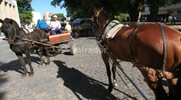 Dura realidad. Los carros tirados por caballos suelen ser la única salida que encuentran los recicladores y sus familias para sobrevivir en las barriadas más pobres de la ciudad. Archivo/Mauricio Garín.
