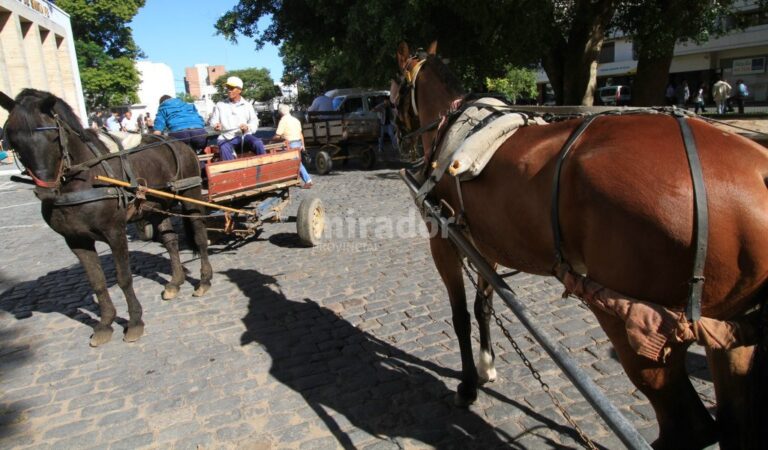 Dura realidad. Los carros tirados por caballos suelen ser la única salida que encuentran los recicladores y sus familias para sobrevivir en las barriadas más pobres de la ciudad. Archivo/Mauricio Garín.