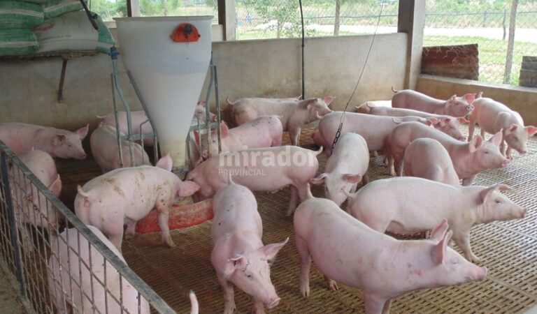 Se busca promover proyectos de biodigestión para la generación de bioenergías y su uso térmico o eléctrico. Gentileza: prensa Gobierno de Santa Fe.