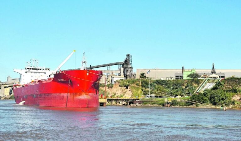 Preocupación. 'Santa Fe concentra el 80% de la producción nacional. Esta industria involucra a unas 6 mil personas entre contrataciones directas e indirectas
