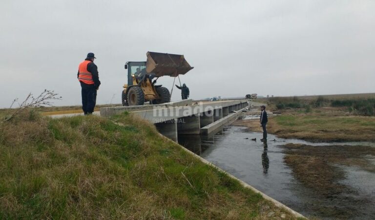 Además de este trabajo
