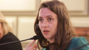 Mercedes Meier fue impulsora del proyecto junto a otros diputados. Archivo.