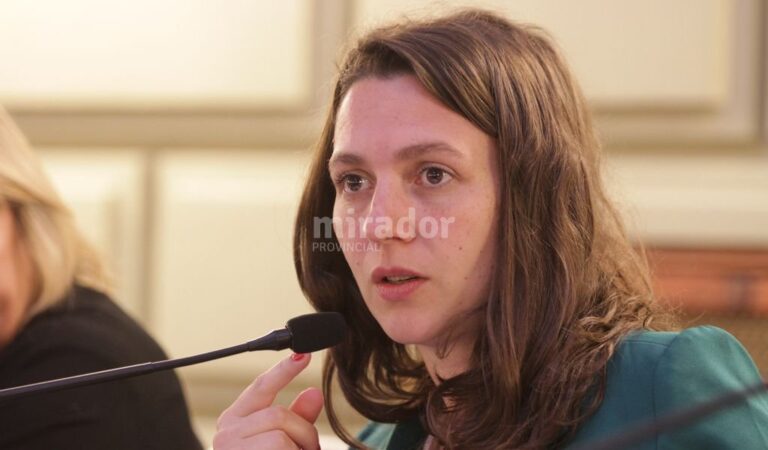 Mercedes Meier fue impulsora del proyecto junto a otros diputados. Archivo.