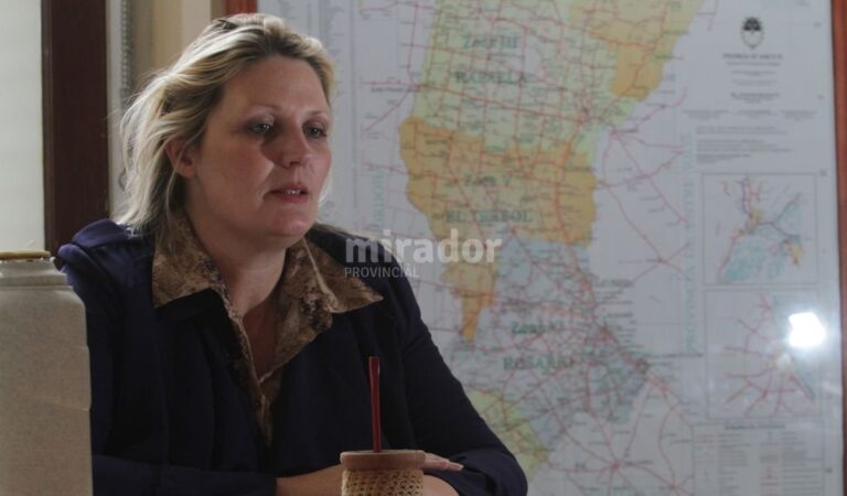 Energía descentralizada y soberanía energética son dos conceptos presentes en la política provincial