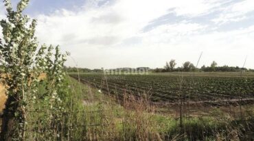 El programa se basa en el territorio periurbano y rural cercano a Rosario. Gentileza: prensa ECOM.