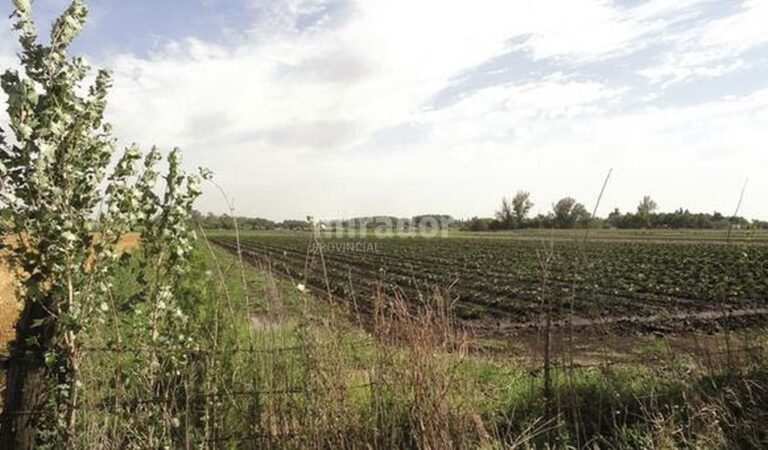 El programa se basa en el territorio periurbano y rural cercano a Rosario. Gentileza: prensa ECOM.