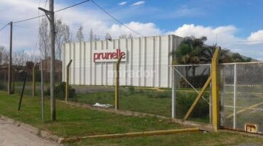 Antes del visto bueno en tribunales