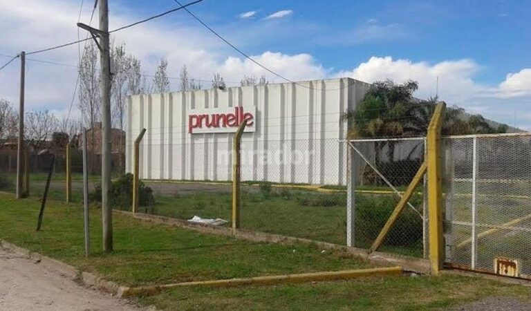 Antes del visto bueno en tribunales