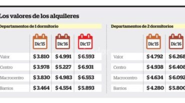 Infografía gentileza ONG Concejalía Popular.