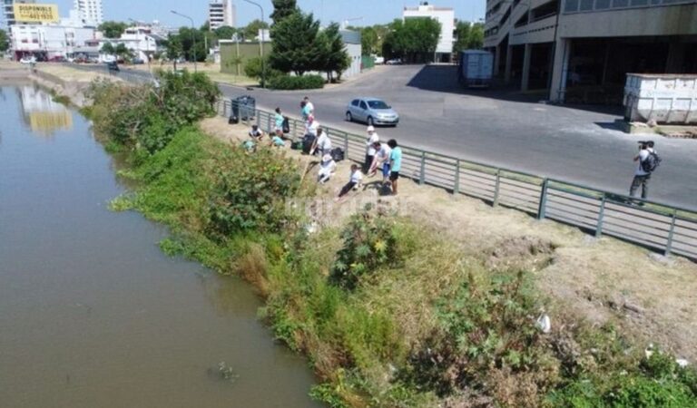 50 personas ayudaron a limpiar el arroyo que desemboca en el río Paraná. Gentileza: prensa Municipalidad de Rosario.