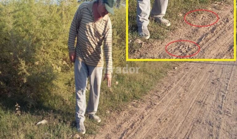 Se pudieron observar huellas de pumas en las afueras de barrio San Martín. Gentileza.