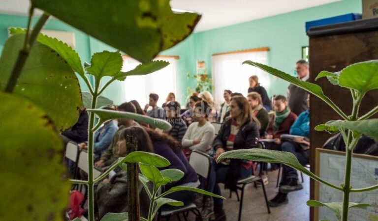 Hay talleres sobre compost