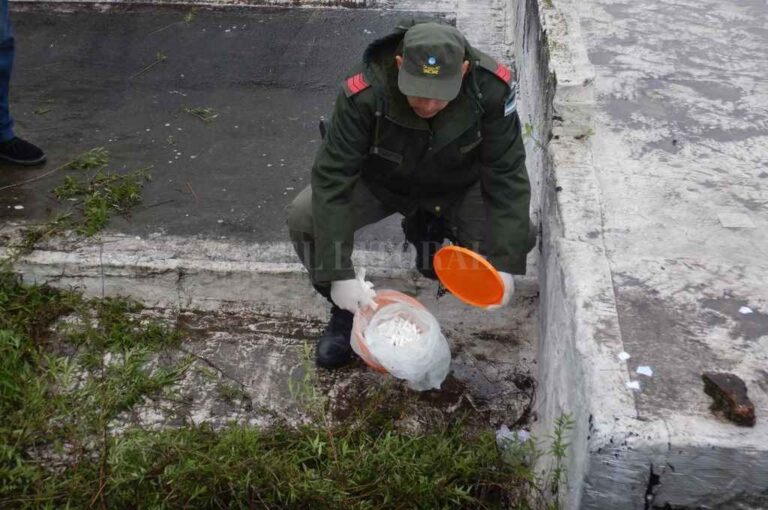 Se incautaron 140 dosis de cocaína