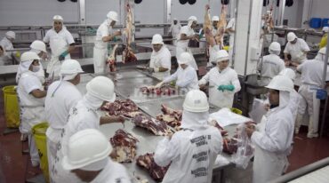 El sector cárnico es uno de los que mira con mayores expectativas el futuro a corto y mediano plazo. Archivo/Campo Litoral.