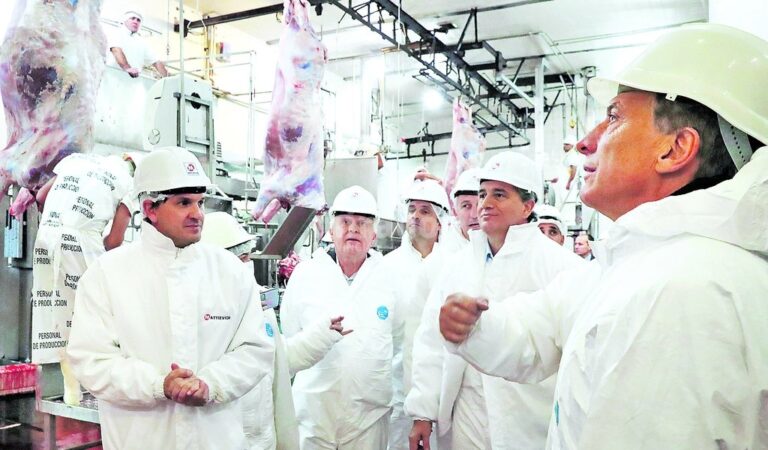Reapertura del frigorífico Mattievich