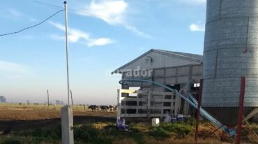 Los insumos del sector están completamente dolarizados